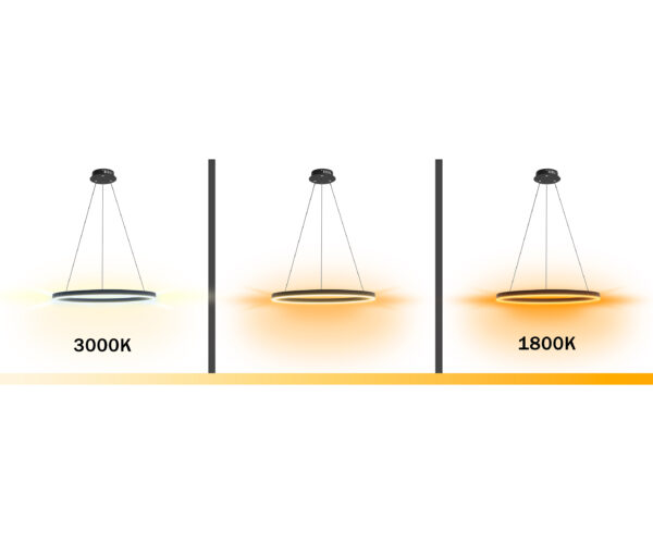 00023829 08212,19A(dim to warm) Подвес Тор черный d40