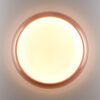 16f58ea4a3cf8e67e76ba5267d5548bf 7778/DLN COLOR SN 112 Светильник пластик/белый/розовый LED 48Вт 3000/4000/6000К D400 IP43 CCT PORTMAN
