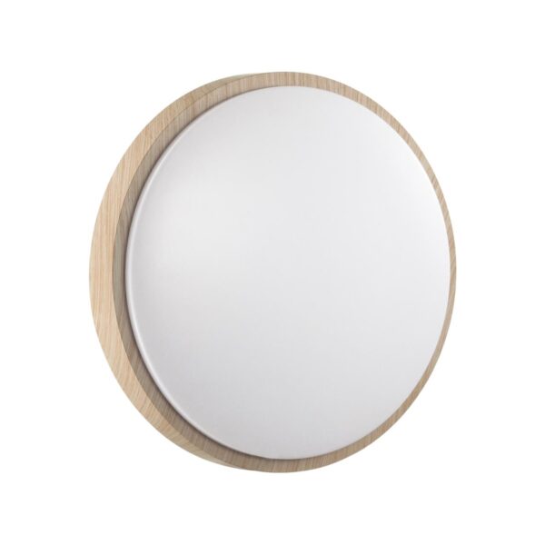 1ac675d3fdd11618cda4958ea331874f 7607/CLN PALE SN 170 Светильник пластик/белый/бежеый под дерево LED 36Вт 4000К D340 IP43 LOSTA