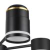 2e86ae2e1b130e8469dd13ffd34877d1 8234/6C COMFI LN25 000 черный, металл/акрил Люстра потолочная GX53 LED 6*10W + LED-проектор 3*5W 2700К 220V VIRSAVA