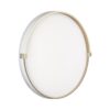 37618048c9c9904aec4ba926fcbe7f8e 7646/DLN PALE SN 189 Светильник пластик/белый/золотой LED 48Вт 3000/4000/6000К D390 IP43 CCT OLIDI WHITE