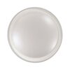 2049/DL PALE SN 000 Светильник пластик/белый LED 48Вт 3000-6300K D450 IP43 пульт ДУ KABRIO