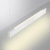 6abb6c318ad165e5e9e70507e0e04a33 359549 LEDO NT25 000 белый Светильник подвесной диммир. со сменой цв.темпер. (пульт ДУ/прилож. Smart Life) IP20 LED 12/24W 220-240V 3000-5700К ITER