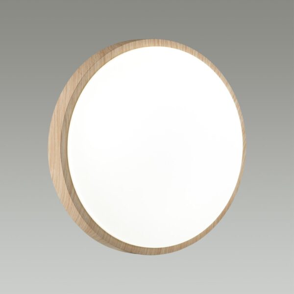 8469efde0718371149c103810672fecc 7607/CLN PALE SN 170 Светильник пластик/белый/бежеый под дерево LED 36Вт 4000К D340 IP43 LOSTA