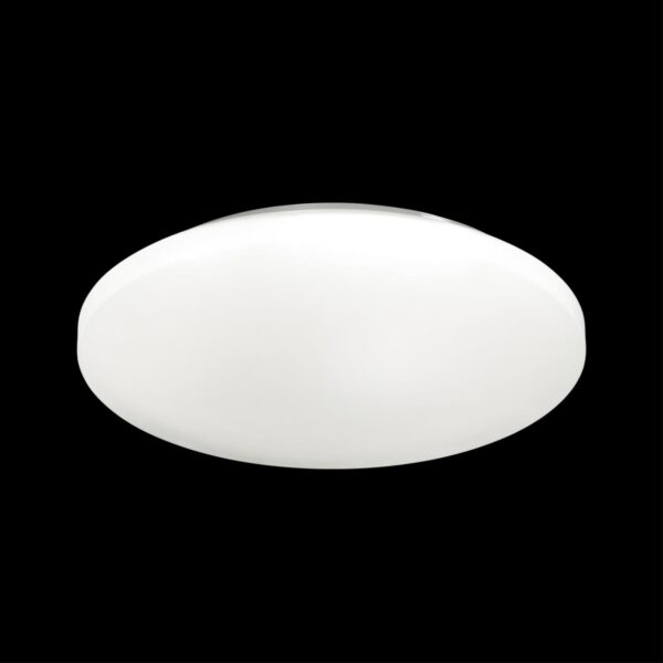 9d50aad1a74221ade665232470874e3d 3017/DL PALE SN 218 Светильник пластик/белый LED 48Вт 4000K D400 IP43 SIMPLE