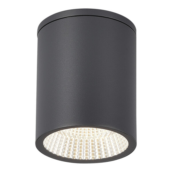 SL9514.712.01_01W SL9514.712.01 Светильник уличный потолочный ST-Luce серый/белый LED 1*12W 3000K/4000K/6500K
