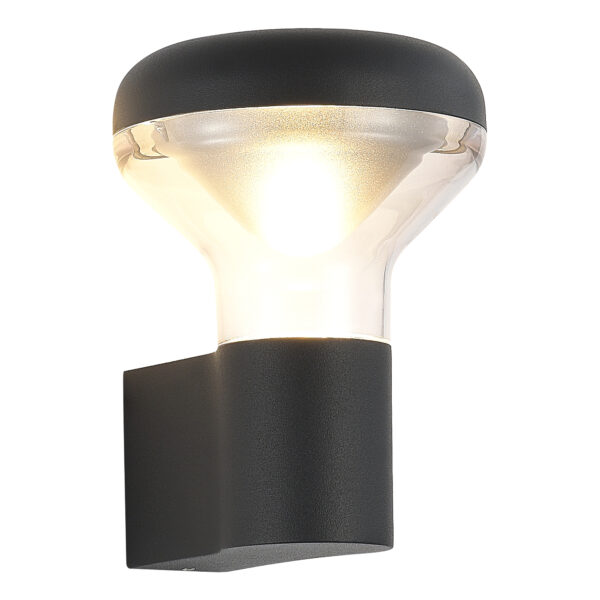 SL9541.701.01 Светильник уличный настенный ST-Luce темно-серый LED 1*6W 3000K
