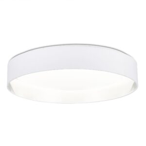 SLE300552-01 Светильник потолочный Белый/Белый, Серебристый LED 1*50W 3000K/4000K/5000K