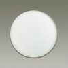 2076/DL PALE SN 000 Светильник пластик/белый/серебристый LED 48Вт 3000-6300K D390 IP43 пульт ДУ GETA SILVER