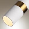 4355/1 HIGHTECH ODL23 329 белый/золотистый/металл Подвесной св-к IP20 LED GU10 10W BULLET