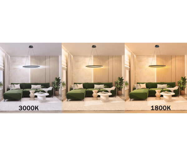 bh00023829 08212,19A(dim to warm) Подвес Тор черный d40