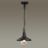 cbd229110a3737eac7f9e4ce2951e23d 4965/1 NATURE ODL22 713 черный/стекло Ландшафтный подвес E27 1*60W IP44 CAMPA