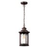 cef1e49b681ee3dff70c10e19ef5483a 4961/1 NATURE ODL22 703 темно-коричневый/стекло Ландшафтный подвес E27 1*60W IP44 MAVRET