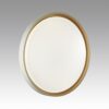 7645/ELN COLOR SN 158 Светильник пластик/белый/оранжевый LED 76Вт 3000/4000/6000К D520 IP43 CCT KISIL