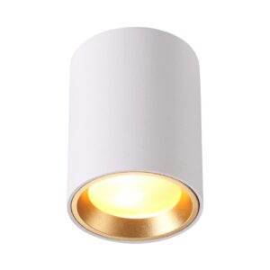 e2cbb22f43dd965e525a255123e12d6b 4206/1C HIGHTECH ODL20 327 белый/металл Потолочный светильник GU10 50W IP54 AQUANA