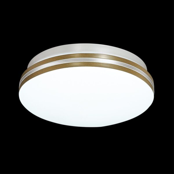 ec07e8ddcd82d565cbd19d63010c9649 3015/AL MINI SN 000 Светильник пластик/белый/под дерево LED 12Вт 4000K D200 IP43 SMALLI