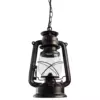Подвесной светильник Arte Lamp GAMBRINUS A3843SP-1BG