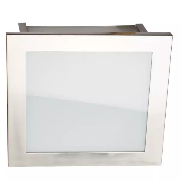 Потолочный светильник Arte Lamp FLUSHES A6064PL-2SS