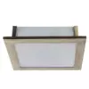 Потолочный светильник Arte Lamp FLUSHES A6064PL-2AB