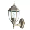 Уличный настенный светильник Arte Lamp PEGASUS A3151AL-1WG
