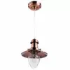 Подвесной светильник Arte Lamp FISHERMAN A5518SP-1RB