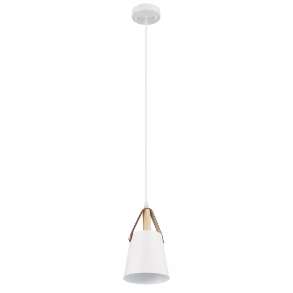 Подвесной светильник Arte Lamp THOMAS A7032SP-1WH Подвесной светильник Arte Lamp THOMAS A7032SP-1WH