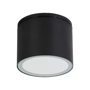 Уличный потолочный светильник Arte Lamp PIAUTOS A1913PF-1BK Уличный потолочный светильник Arte Lamp PIAUTOS A1913PF-1BK