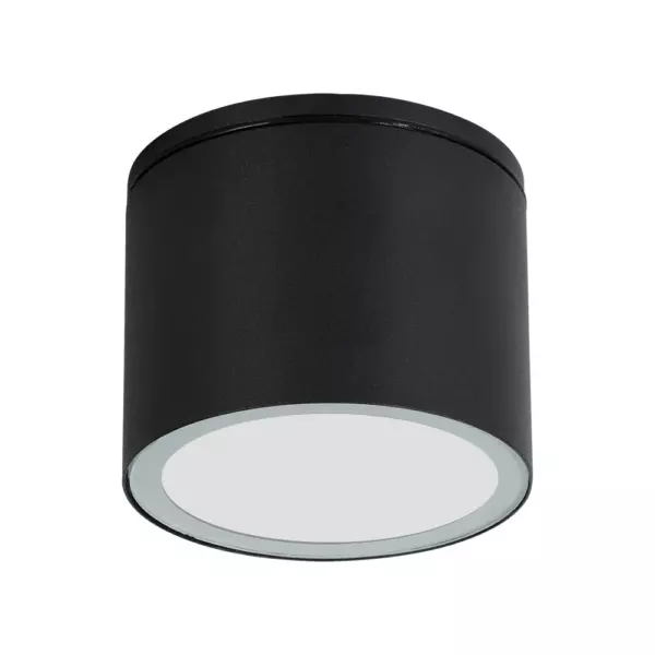 Уличный потолочный светильник Arte Lamp PIAUTOS A1913PF-1BK Уличный потолочный светильник Arte Lamp PIAUTOS A1913PF-1BK