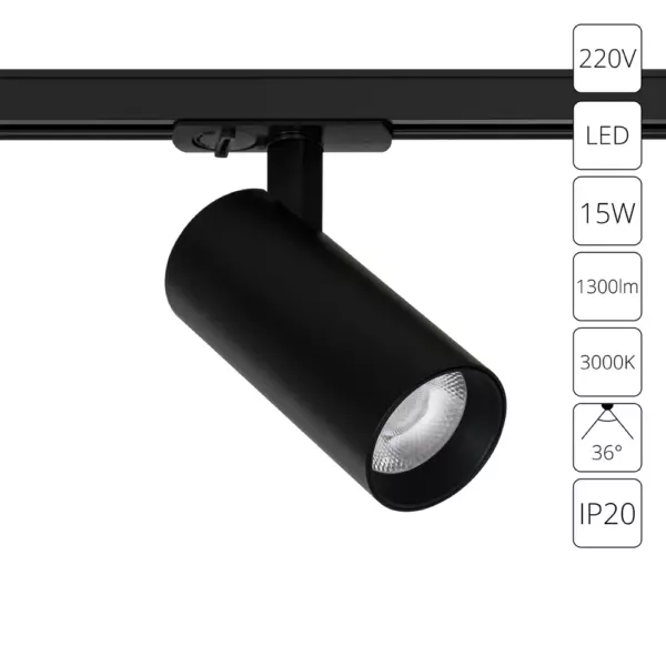 Трековый светильник Arte Lamp BENE A1936PL-1BK