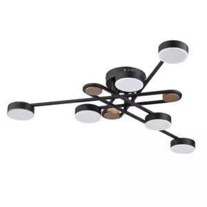 Потолочная люстра Arte Lamp TAYGETA A2455PL-6BK Потолочная люстра Arte Lamp TAYGETA A2455PL-6BK