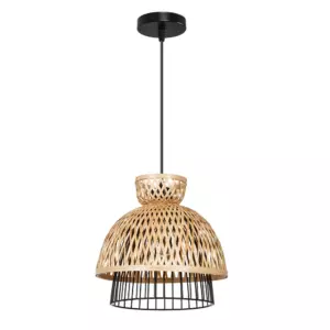 Подвесной светильник Arte Lamp WOODSTOCK A7070SP-1BK
