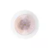 Декоративная подсветка Arte Lamp AJOUR A1259AP-1PB Декоративная подсветка Arte Lamp AJOUR A1259AP-1PB