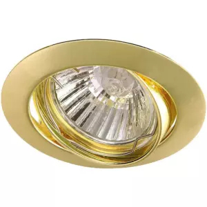 Точечный встраиваемый светильник Arte Lamp BASIC A2105PL-3GO Точечный встраиваемый светильник Arte Lamp BASIC A2105PL-3GO