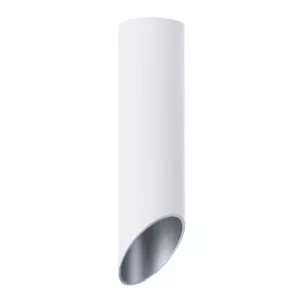 Точечный накладной светильник Arte Lamp PILON-SILVER A1535PL-1WH Точечный накладной светильник Arte Lamp PILON-SILVER A1535PL-1WH