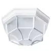 Уличный потолочный светильник Arte Lamp PEGASUS A3100PL-1WH Уличный потолочный светильник Arte Lamp PEGASUS A3100PL-1WH