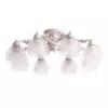 Потолочная люстра Arte Lamp MALINA A7695PL-8WG