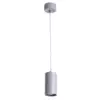 Точечный подвесной светильник Arte Lamp CANOPUS A1516SP-1GY
