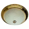 Потолочный светильник Arte Lamp ALTA A3013PL-2GO
