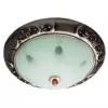 Потолочный светильник Arte Lamp ALTA A3014PL-2AC
