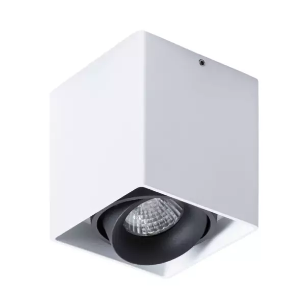 Точечный накладной светильник Arte Lamp PICTOR A5654PL-1WH
