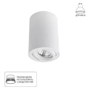 Точечный накладной светильник Arte Lamp SENTRY A1560PL-1WH Точечный накладной светильник Arte Lamp SENTRY A1560PL-1WH