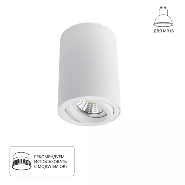 Точечный накладной светильник Arte Lamp SENTRY A1560PL-1WH
