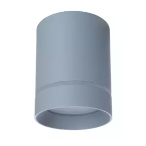Точечный накладной светильник Arte Lamp ELLE A1909PL-1GY Точечный накладной светильник Arte Lamp ELLE A1909PL-1GY