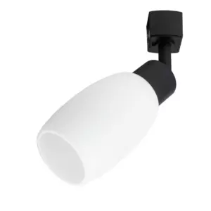 Трековый светильник Arte Lamp MIIA A3055PL-1BK Трековый светильник Arte Lamp MIIA A3055PL-1BK