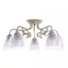 Потолочная люстра Arte Lamp CHARLOTTE A7062PL-5WG