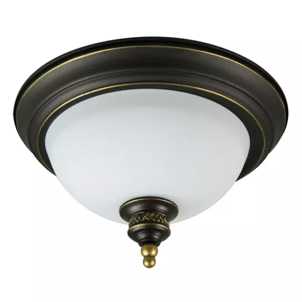 Потолочный светильник Arte Lamp BONITO A9518PL-2BA