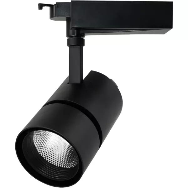 Трековый светильник Arte Lamp TRACK LIGHTS A2450PL-1BK