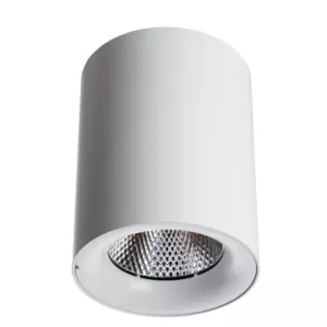 Точечный накладной светильник Arte Lamp FACILE A5118PL-1WH Точечный накладной светильник Arte Lamp FACILE A5118PL-1WH