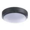 Уличный потолочный светильник Arte Lamp CITY A8154PF-2GY