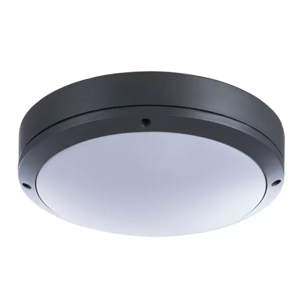 Уличный потолочный светильник Arte Lamp CITY A8154PF-2GY